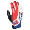 Gant Nordique Kinetixx Eike Norway -Ski Équipement Boutique 0aac5724b131946400e5f6c66c3c191ca6b993b7 VH21KINEACC002 0