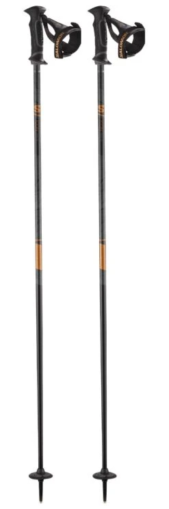 Bâton Salomon Icon Ergo S3 Black