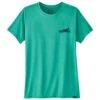 Tee-shirt Patagonia Cap Cool Daily Graphic Trails Everywhere : Fresh Teal X-Dye
