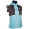 Veste Sans Manche Bjorn Daehlie Vest Aware Wmn Delphium Blue